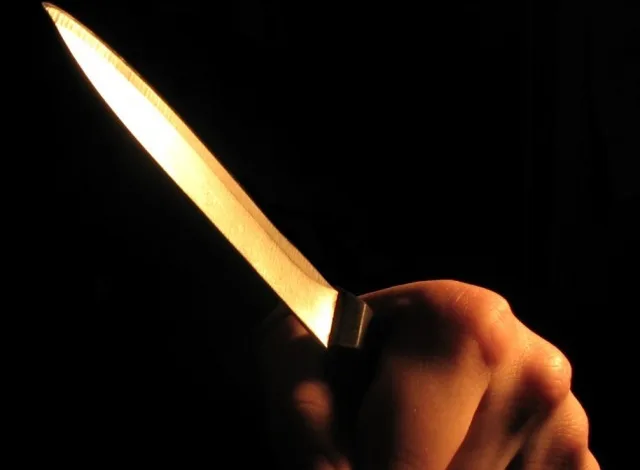 خاتون نے مبینہ طور پر بیٹی کو چاقو مار کر قتل کر دیا۔ خاتون نے مبینہ طور پر بیٹی کو چاقو مار کر قتل کر دیا۔