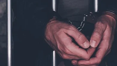 گرفتاریوں کے باوجود ہسپتالوں میں ادویات کی چوری جاری ہے۔