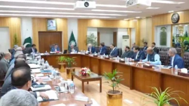 ای سی پی نے پنجاب میں بلدیاتی انتخابات 15 دسمبر سے 15 جنوری کے درمیان کرانے پر اتفاق کیا ہے۔