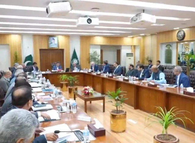 ای سی پی نے پنجاب میں بلدیاتی انتخابات 15 دسمبر سے 15 جنوری کے درمیان کرانے پر اتفاق کیا ہے۔ ای سی پی نے پنجاب میں بلدیاتی انتخابات 15 دسمبر سے 15 جنوری کے درمیان کرانے پر اتفاق کیا ہے۔