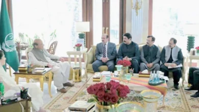 نواز نے سیاسی مصروفیات کا از سر نو جائزہ لیا۔