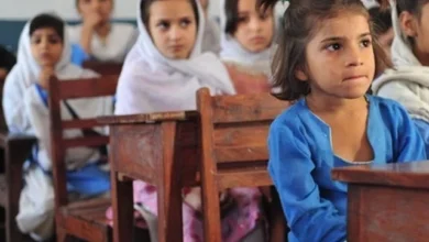 پنجاب، کے پی میں 200,000 سے زائد بچے برطانیہ کے تعاون سے تعلیمی اقدامات سے مستفید ہوئے: BHC