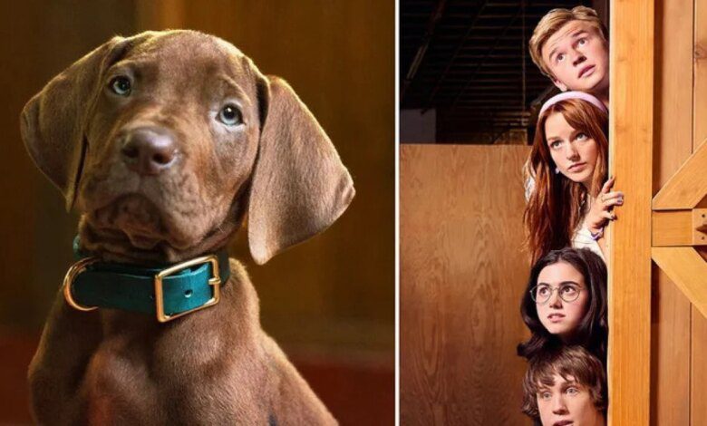 Netflix نے نئے شو میں پہلے حقیقی عظیم ڈین کے ساتھ ‘Scooby-Doo’ کی تاریخ رقم کی۔
