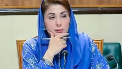 وزیراعلیٰ نے ایم پی اے سے منصوبوں میں شفافیت کو یقینی بنانے کی ہدایت کی۔