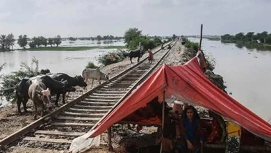 سیلاب کے راستے کی تبدیلی سے ریل کنٹریکٹر کے لیے بڑی راحت ملی ہے۔ سیلاب کے راستے کی تبدیلی سے ریل کنٹریکٹر کے لیے بڑی راحت ملی ہے۔