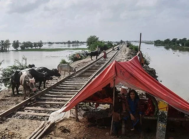 سیلاب کے راستے کی تبدیلی سے ریل کنٹریکٹر کے لیے بڑی راحت ملی ہے۔