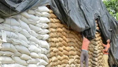 گندم میں بے ضابطگیوں پر 11 اہلکار برطرف
