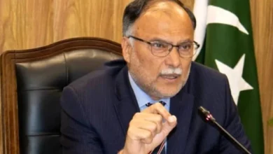 مریم کی بیٹی کے بارے میں فضول ٹویٹ نہیں: احسن