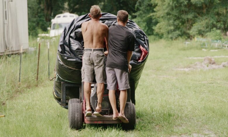 Short Films in Focus: Bouncy Brothers (with Nicholas J. Santore)