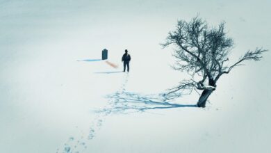 Fantastic Fest 2026: In a Violent Nature Part 2, The Glorious Dead, Godmother