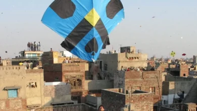 حکومت بین الاقوامی معیاری بسنت کا منصوبہ بنا رہی ہے۔