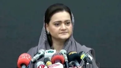 مریم نواز کا کہنا ہے کہ دورہ برطانیہ، دہشت گردی کے ریمارکس پر تنقید کے پیچھے وزیراعلیٰ پنجاب کی بڑھتی ہوئی مقبولیت ہے