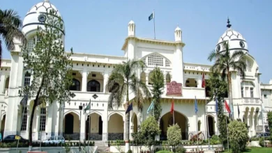 ایک مدت کے لیے کل وقتی VCs کا تقرر