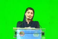 پنجاب وفاقی حکومت کو ڈیجیٹلائزیشن سپورٹ کی پیشکش کرتا ہے۔