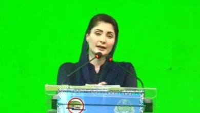 ’طیارہ وزیراعلیٰ کا ہے ذاتی طور پر میرا نہیں‘، مریم نے سرکاری طیارے کے استعمال پر تنقید کا جواب دے دیا