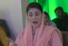 وزیراعلیٰ نے صفائی ستھرائی کے حوالے سے کوڑے کا نشانہ بنایا