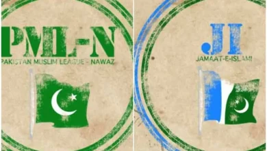 حکومت، جماعت اسلامی پٹرولیم لیوی پر پینل تشکیل دے گی۔ حکومت، جماعت اسلامی پٹرولیم لیوی پر پینل تشکیل دے گی۔