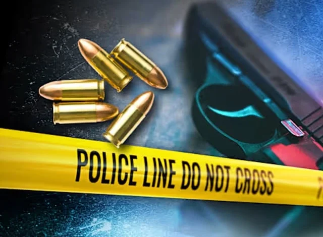 مشتبہ ڈاکو کو مبینہ طور پر ساتھیوں نے گولی مار دی۔ مشتبہ ڈاکو کو مبینہ طور پر ساتھیوں نے گولی مار دی۔