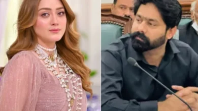 لاہور کی عدالت نے چدھڑ کی درخواست ضمانت نمٹا دی کیونکہ نئے آئی او کا کہنا ہے کہ مومنہ اقبال کیس میں گرفتاری کی ضرورت نہیں