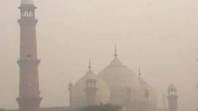 پنجاب کے آلودہ آسمانوں کو بہت کم مہلت ملتی ہے۔ پنجاب کے آلودہ آسمانوں کو بہت کم مہلت ملتی ہے۔