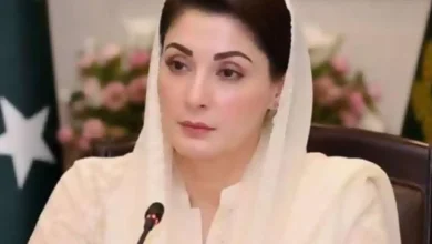 ترقی کا انحصار تسلسل پر ہے: مریم