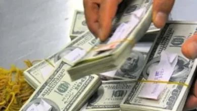 پانچ ممالک میں کام کرنے والے حوالا ہنڈی نیٹ ورک کا پردہ فاش