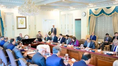 قومی ترقی کا راز اے آئی اور ڈیجیٹائزیشن میں مضمر ہے: وزیر اعظم شہباز