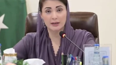 وزیراعلیٰ پنجاب ’تنقید سے بے نیاز‘