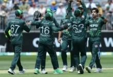 پاکستانی ستارے ون ڈے کرکٹ کے موڑ اور موڑ کا مزہ لیتے ہیں۔