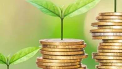 گرین کریڈٹ پروگرام میں 164k رجسٹر کریں۔